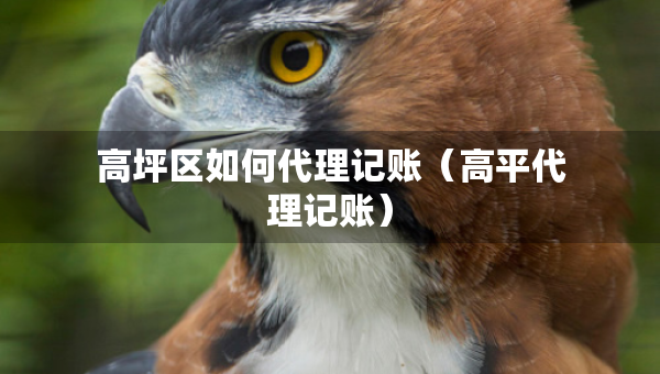 高坪區(qū)如何代理記賬（高平代理記賬）