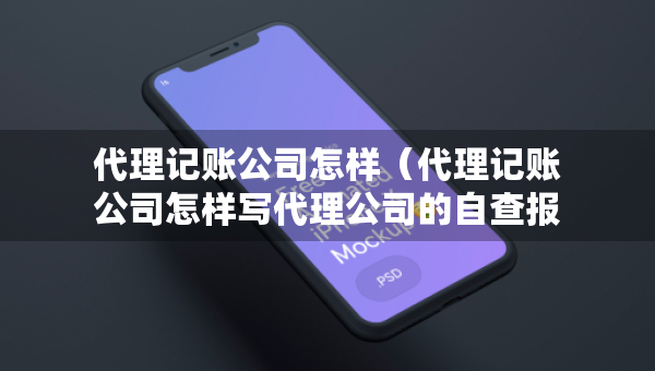 代理記賬公司怎樣（代理記賬公司怎樣寫代理公司的自查報告）