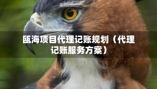 甌海項目代理記賬規(guī)劃（代理記賬服務方案）