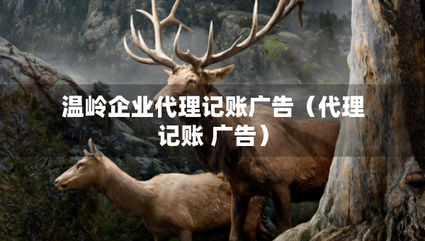 溫嶺企業(yè)代理記賬廣告（代理記賬 廣告）