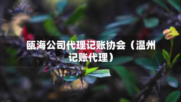 甌海公司代理記賬協(xié)會(huì)（溫州記賬代理）