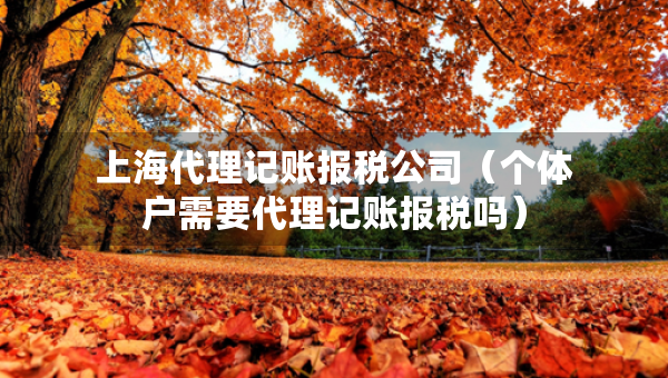 上海代理記賬報(bào)稅公司（個(gè)體戶需要代理記賬報(bào)稅嗎）