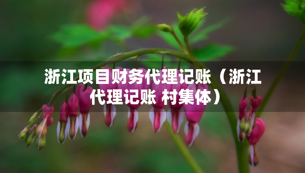 浙江項(xiàng)目財(cái)務(wù)代理記賬（浙江 代理記賬 村集體）