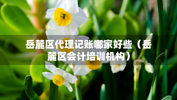 岳麓區(qū)代理記賬哪家好些（岳麓區(qū)會(huì)計(jì)培訓(xùn)機(jī)構(gòu)）