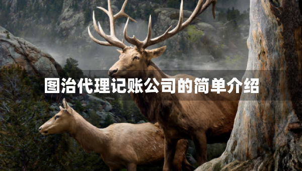 圖治代理記賬公司的簡(jiǎn)單介紹