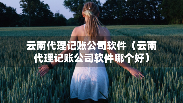 云南代理記賬公司軟件（云南代理記賬公司軟件哪個(gè)好）