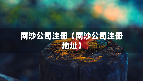 南沙公司注冊（南沙公司注冊地址）