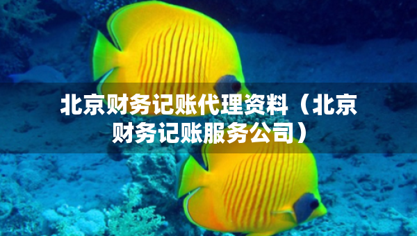 北京財(cái)務(wù)記賬代理資料（北京財(cái)務(wù)記賬服務(wù)公司）