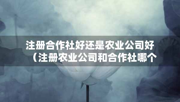 注冊合作社好還是農(nóng)業(yè)公司好（注冊農(nóng)業(yè)公司和合作社哪個好）