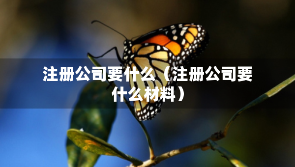 注冊公司要什么（注冊公司要什么材料）