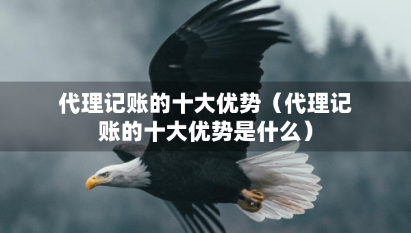 代理記賬的十大優(yōu)勢（代理記賬的十大優(yōu)勢是什么）