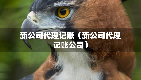 新公司代理記賬（新公司代理記賬公司）