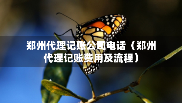 鄭州代理記賬公司電話（鄭州代理記賬費(fèi)用及流程）