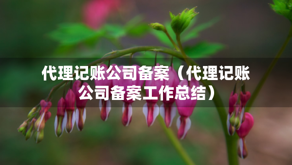 代理記賬公司備案（代理記賬公司備案工作總結(jié)）