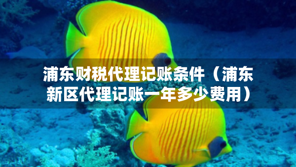 浦東財稅代理記賬條件（浦東新區(qū)代理記賬一年多少費用）