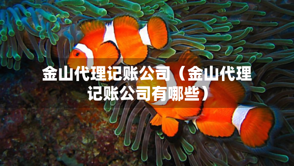 金山代理記賬公司（金山代理記賬公司有哪些）