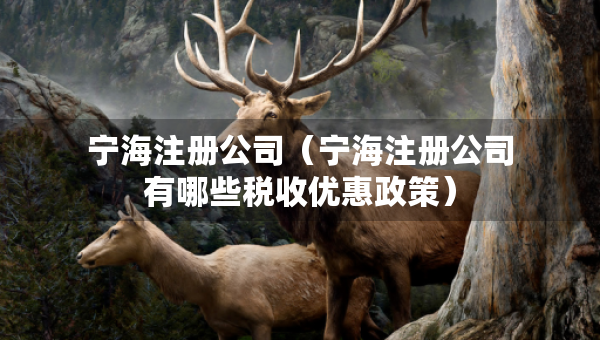 寧海注冊公司（寧海注冊公司有哪些稅收優(yōu)惠政策）