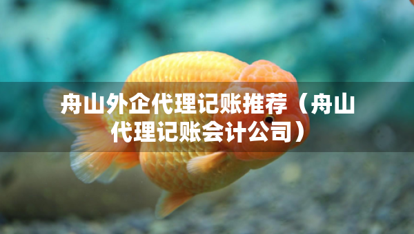 舟山外企代理記賬推薦（舟山代理記賬會(huì)計(jì)公司）