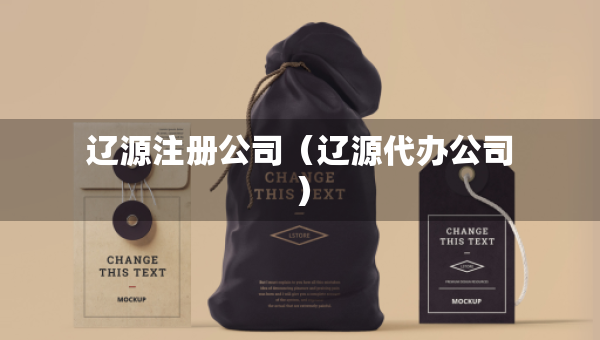 遼源注冊公司（遼源代辦公司）