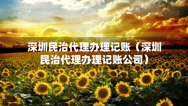 深圳民治代理辦理記賬（深圳民治代理辦理記賬公司）