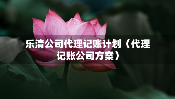 樂清公司代理記賬計劃（代理記賬公司方案）