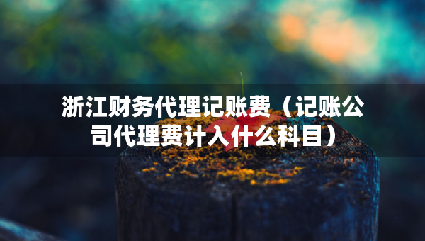浙江財務(wù)代理記賬費（記賬公司代理費計入什么科目）