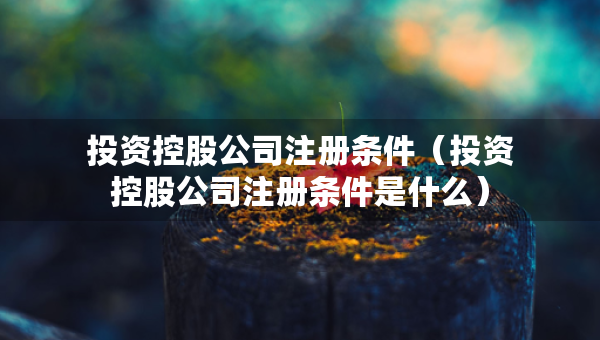 投資控股公司注冊條件（投資控股公司注冊條件是什么）