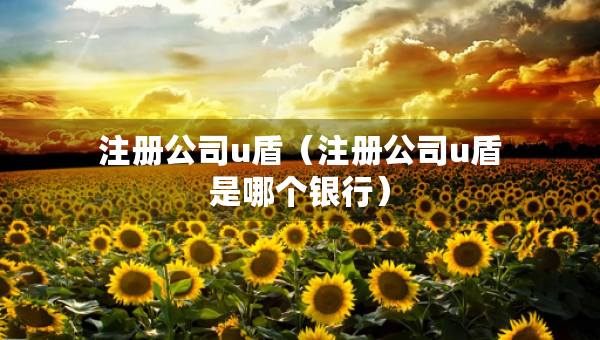 注冊(cè)公司u盾（注冊(cè)公司u盾是哪個(gè)銀行）