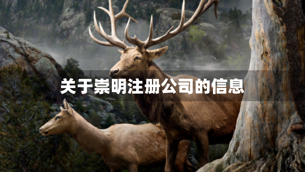 關(guān)于崇明注冊公司的信息
