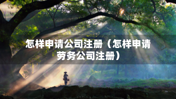 怎樣申請(qǐng)公司注冊(cè)（怎樣申請(qǐng)勞務(wù)公司注冊(cè)）