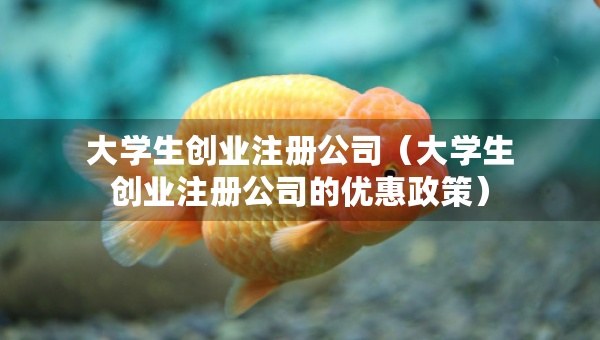 大學(xué)生創(chuàng)業(yè)注冊(cè)公司（大學(xué)生創(chuàng)業(yè)注冊(cè)公司的優(yōu)惠政策）