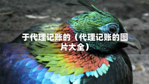 于代理記賬的（代理記賬的圖片大全）