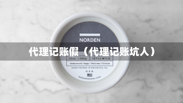 代理記賬假（代理記賬坑人）