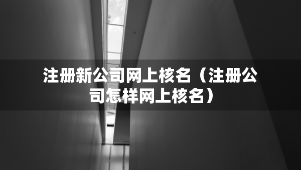 注冊新公司網(wǎng)上核名（注冊公司怎樣網(wǎng)上核名）