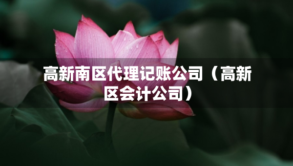 高新南區(qū)代理記賬公司（高新區(qū)會計公司）