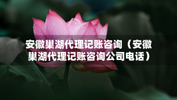安徽巢湖代理記賬咨詢（安徽巢湖代理記賬咨詢公司電話）