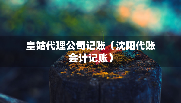 皇姑代理公司記賬（沈陽(yáng)代賬會(huì)計(jì)記賬）