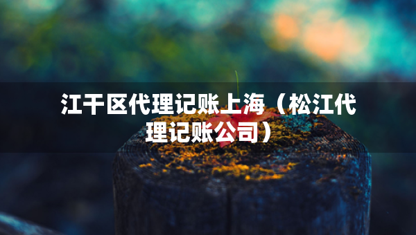 江干區(qū)代理記賬上海（松江代理記賬公司）