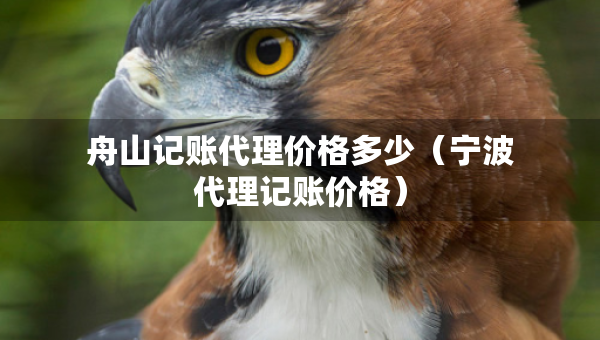 舟山記賬代理價(jià)格多少（寧波代理記賬價(jià)格）