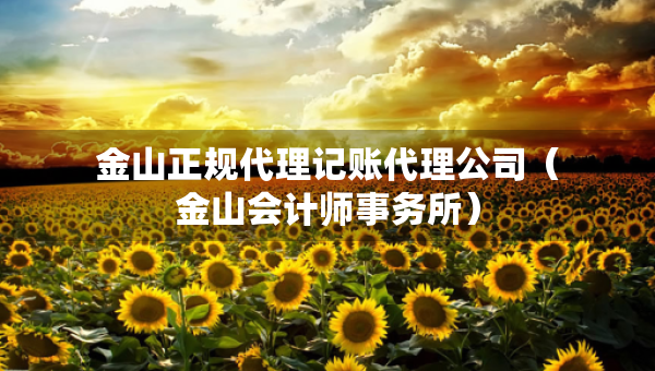 金山正規(guī)代理記賬代理公司（金山會計師事務(wù)所）