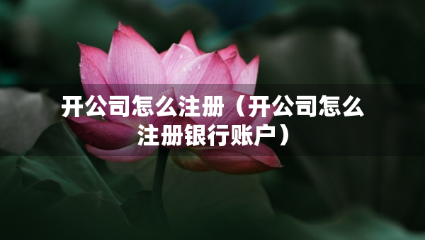 開公司怎么注冊（開公司怎么注冊銀行賬戶）