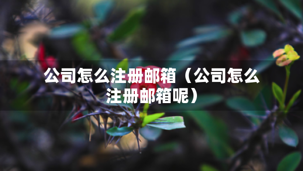 公司怎么注冊郵箱（公司怎么注冊郵箱呢）