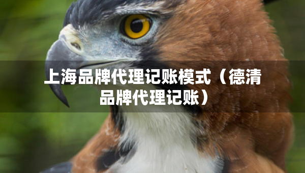 上海品牌代理記賬模式（德清品牌代理記賬）