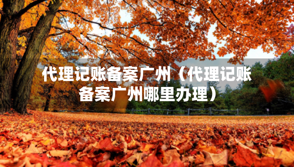 代理記賬備案廣州（代理記賬備案廣州哪里辦理）