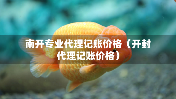 南開專業(yè)代理記賬價格（開封代理記賬價格）