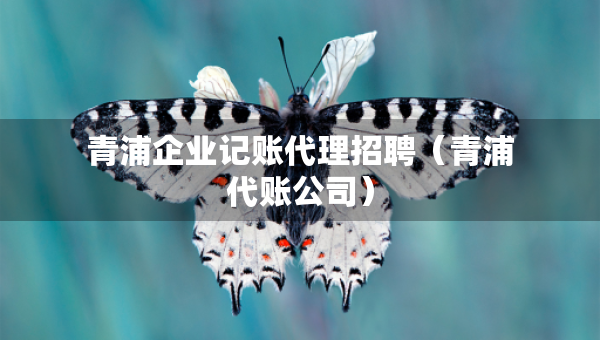 青浦企業(yè)記賬代理招聘（青浦代賬公司）