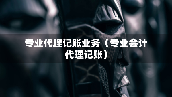 專業(yè)代理記賬業(yè)務(wù)（專業(yè)會(huì)計(jì)代理記賬）
