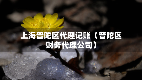 上海普陀區(qū)代理記賬（普陀區(qū)財(cái)務(wù)代理公司）