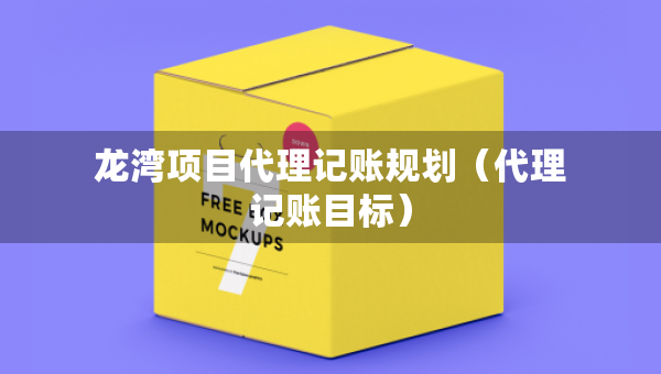 龍灣項目代理記賬規(guī)劃（代理記賬目標）