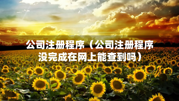 公司注冊程序（公司注冊程序沒完成在網(wǎng)上能查到嗎）